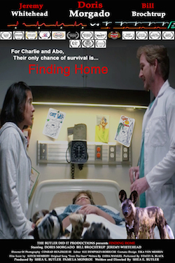 Finding Home Poster